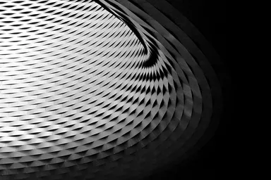 Fish Scales Building